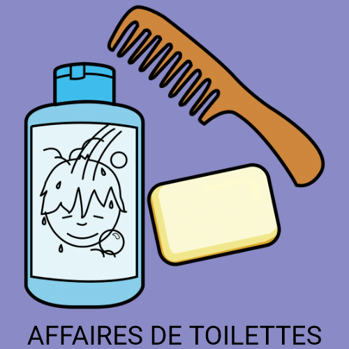 Affaires de toilettes