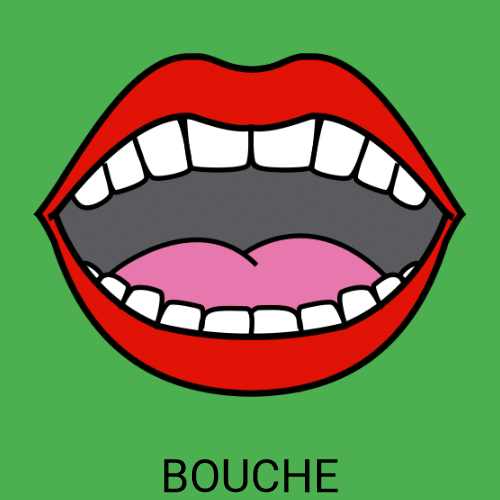Bouche