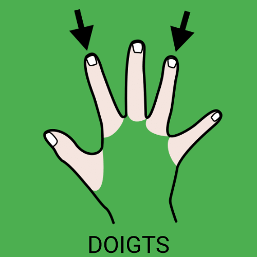 Doigts