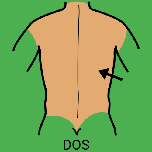 Dos