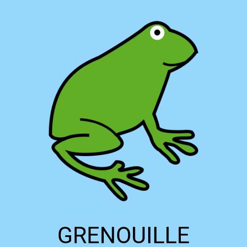Grenouille