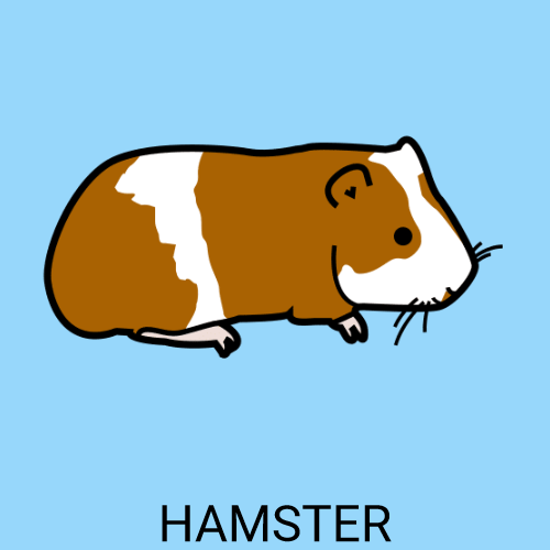 Hamster