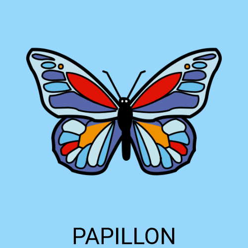 Papillon