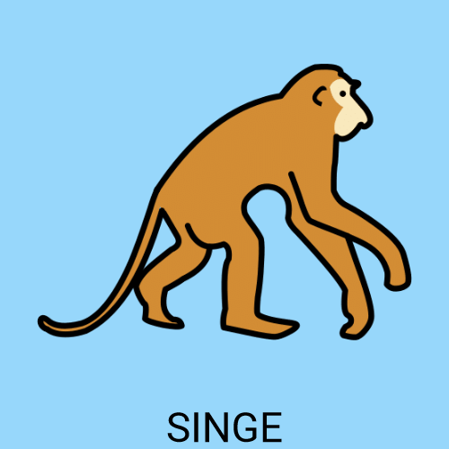 Singe