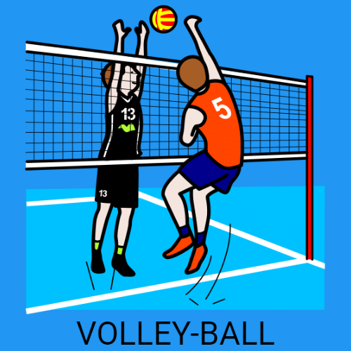 volley-ball